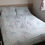 Amc Flamingo Land Caravan, Motorhome & Campervan Hire * Kirby Misperton