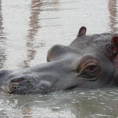 Hébergement de vacances Amc Flamingo Land Caravan, Motorhome & Campervan Hire