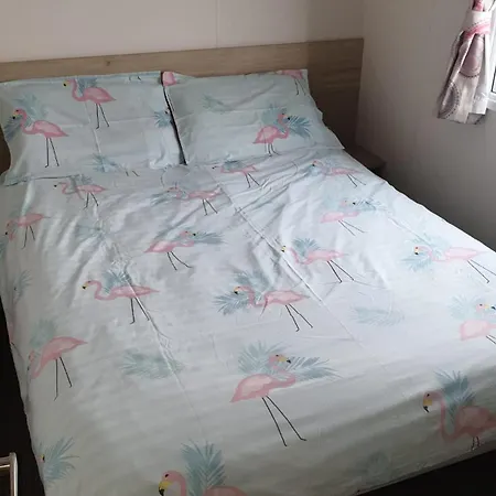 Amc Flamingo Land Caravan, Motorhome & Campervan Hire * Kirby Misperton