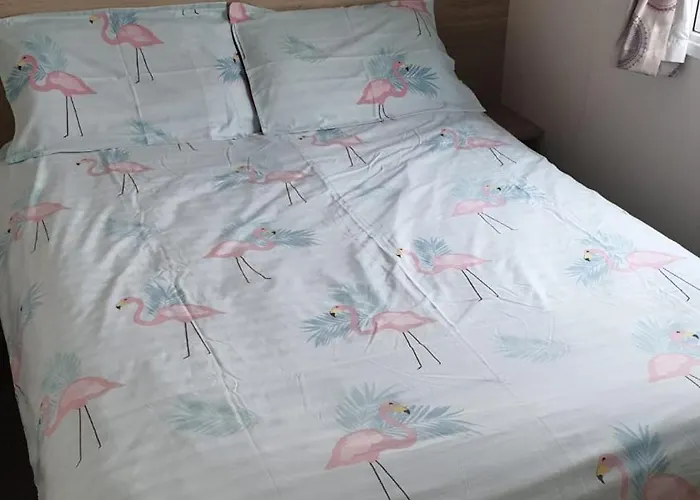 Amc Flamingo Land Caravan, Motorhome & Campervan Hire * Kirby Misperton