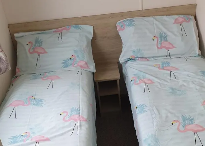 Amc Flamingo Land Caravan, Motorhome & Campervan Hire Dom wakacyjny *